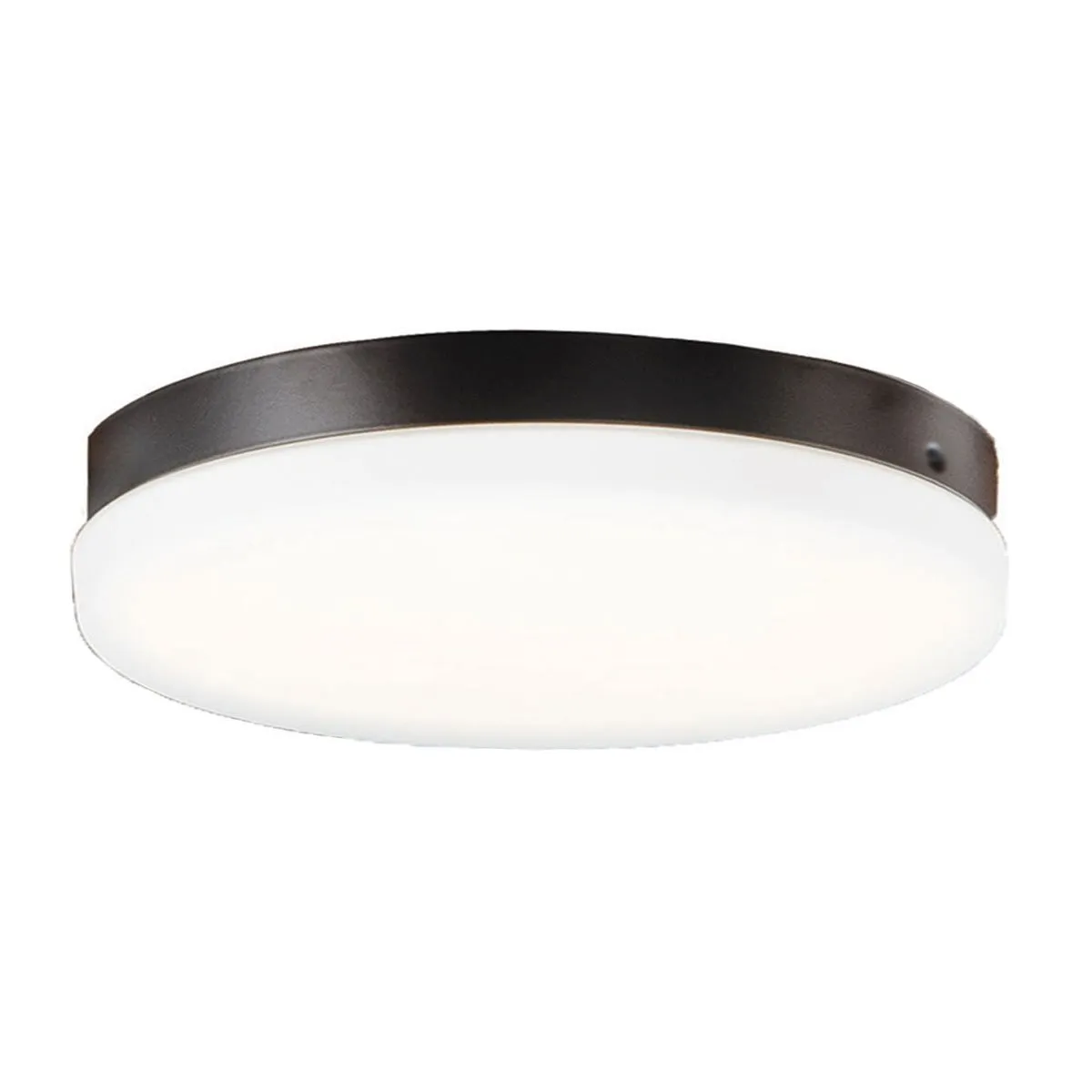 Aviator Indoor/Outdoor LED Ceiling Fan