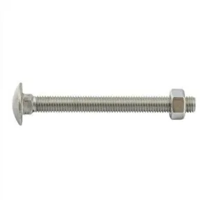 Bolt & Nut S/S Cup M12 x 120
