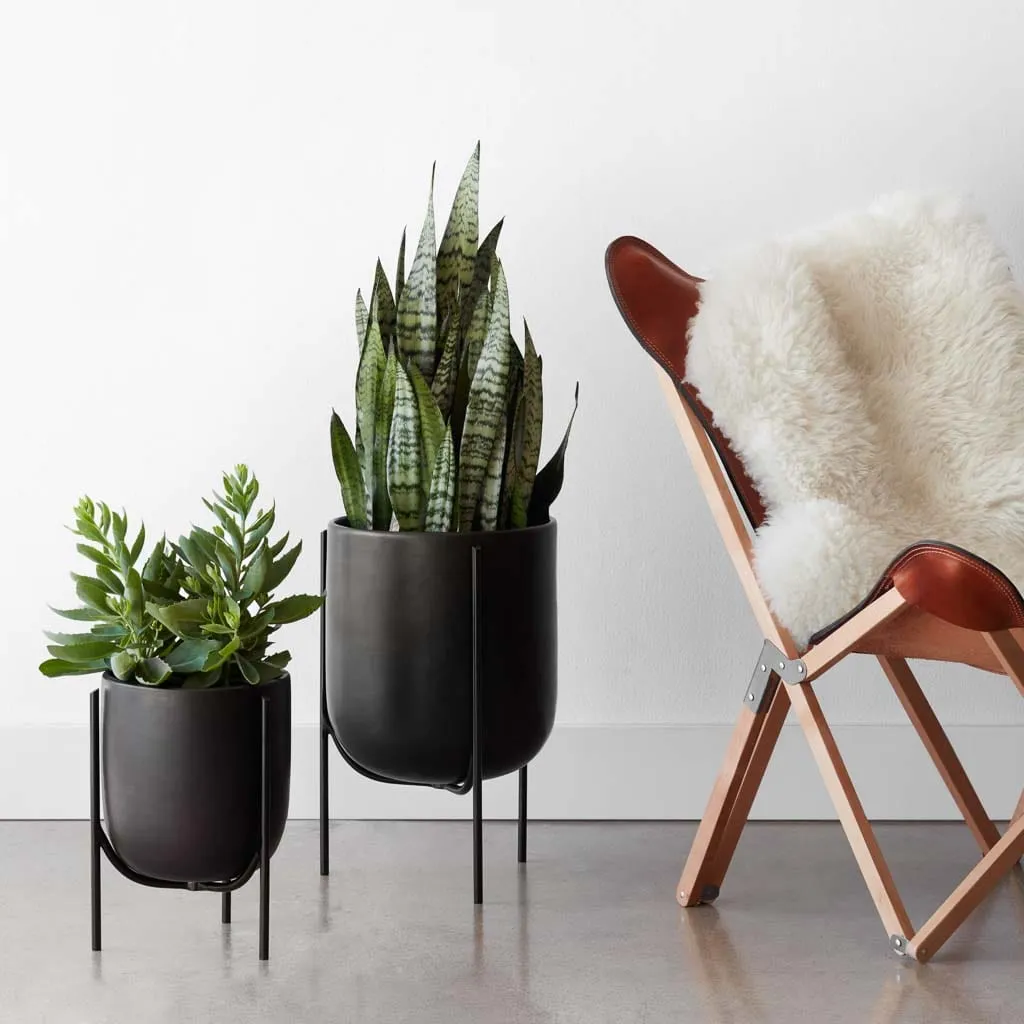 Cantaro Pots - Multiple Sizes The Citizenry