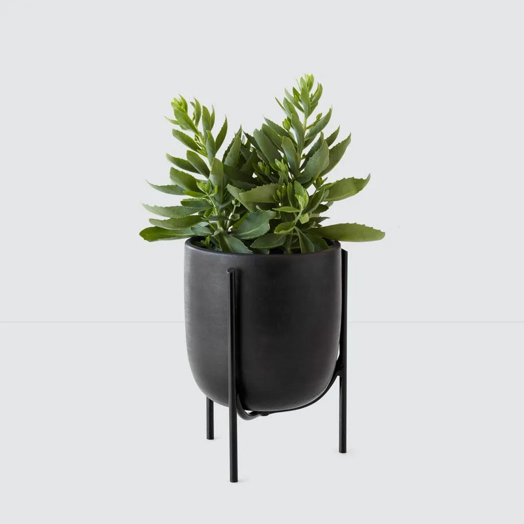 Cantaro Pots - Multiple Sizes The Citizenry