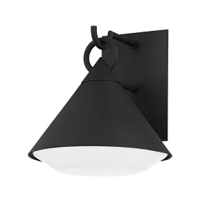 Catalina 1-Light Large Outdoor Wall Light