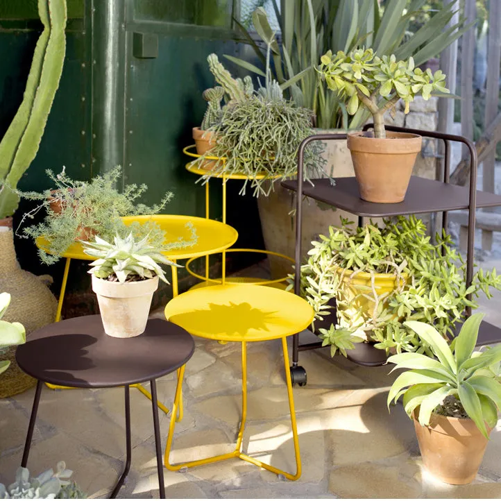 Cocotte Low Table with Removable Tray