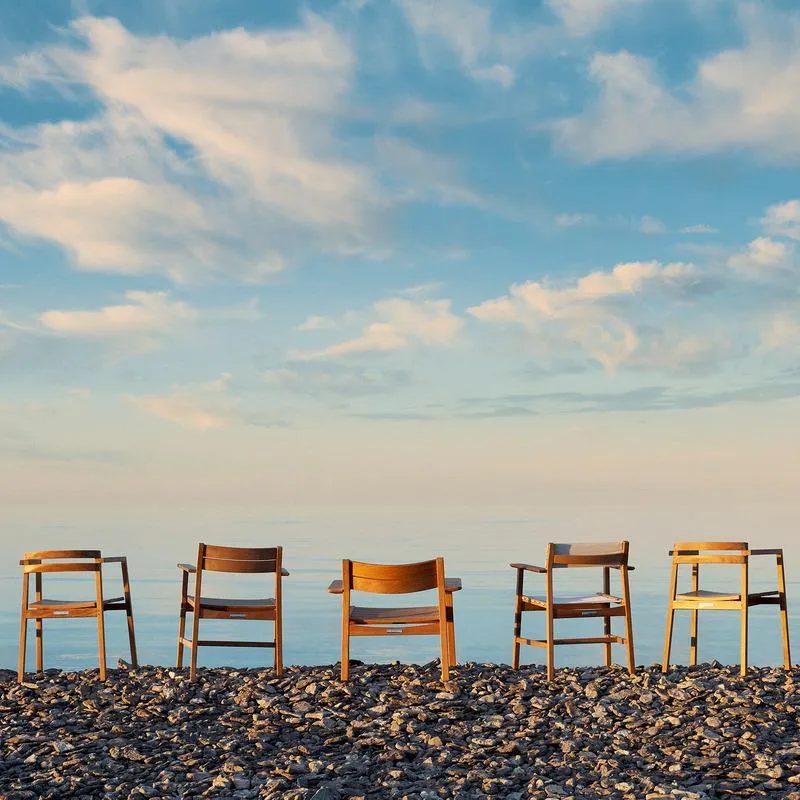 Djur Dining Armchair
