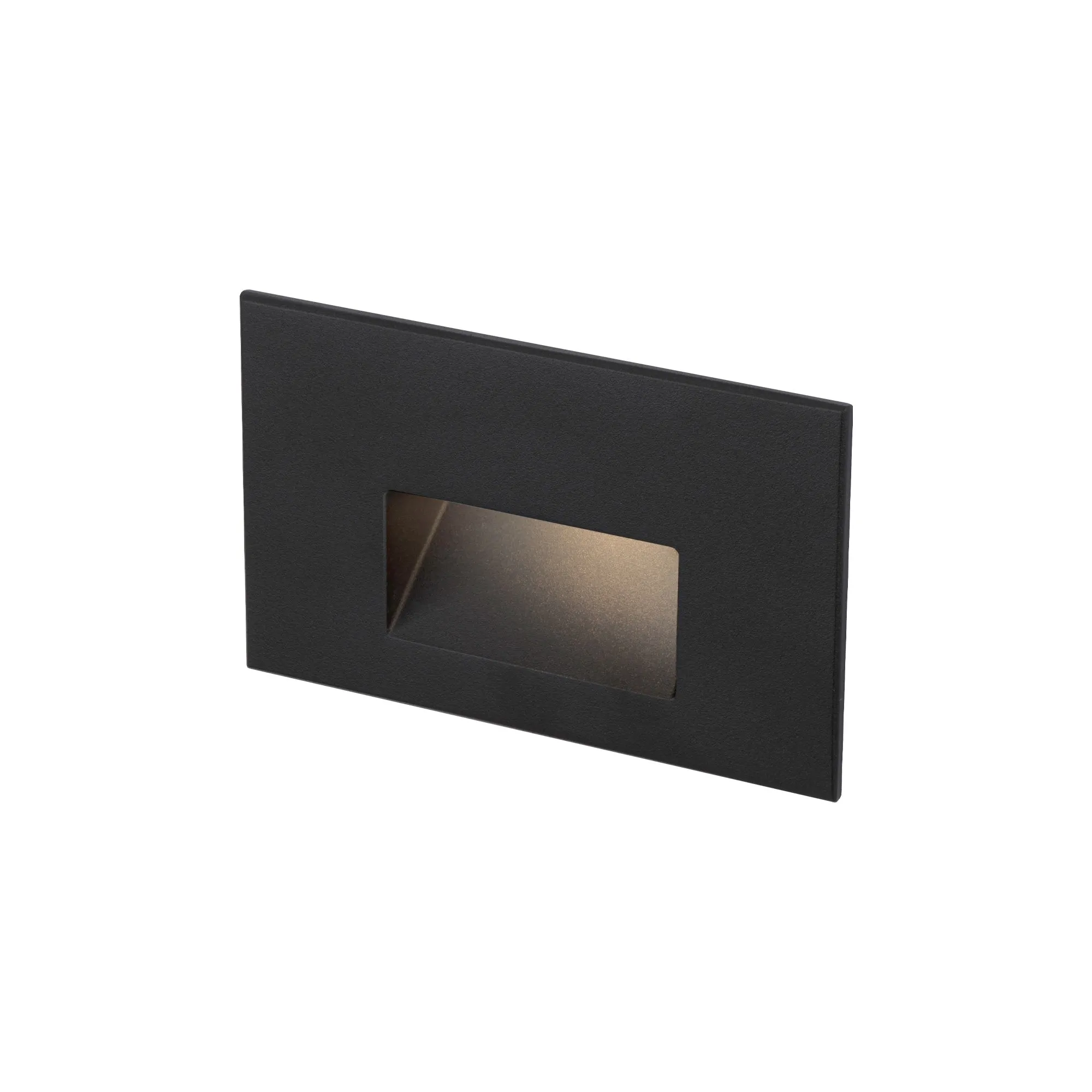 LEDme 120V LED Horizontal Indoor/Outdoor Step and Wall Light