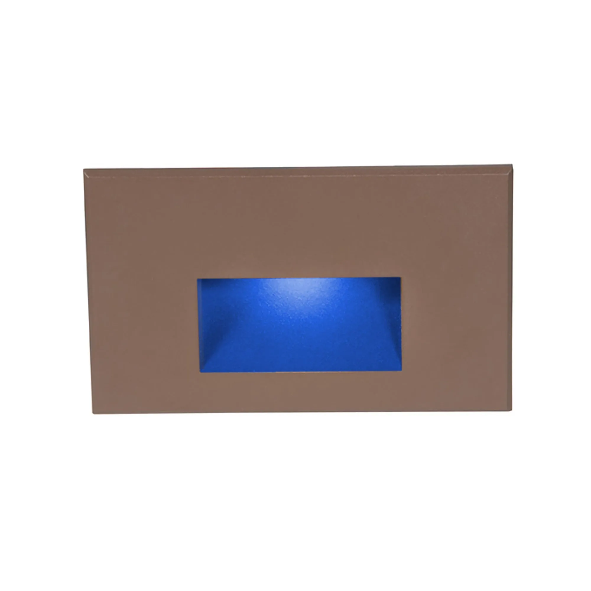 LEDme 120V LED Horizontal Indoor/Outdoor Step and Wall Light