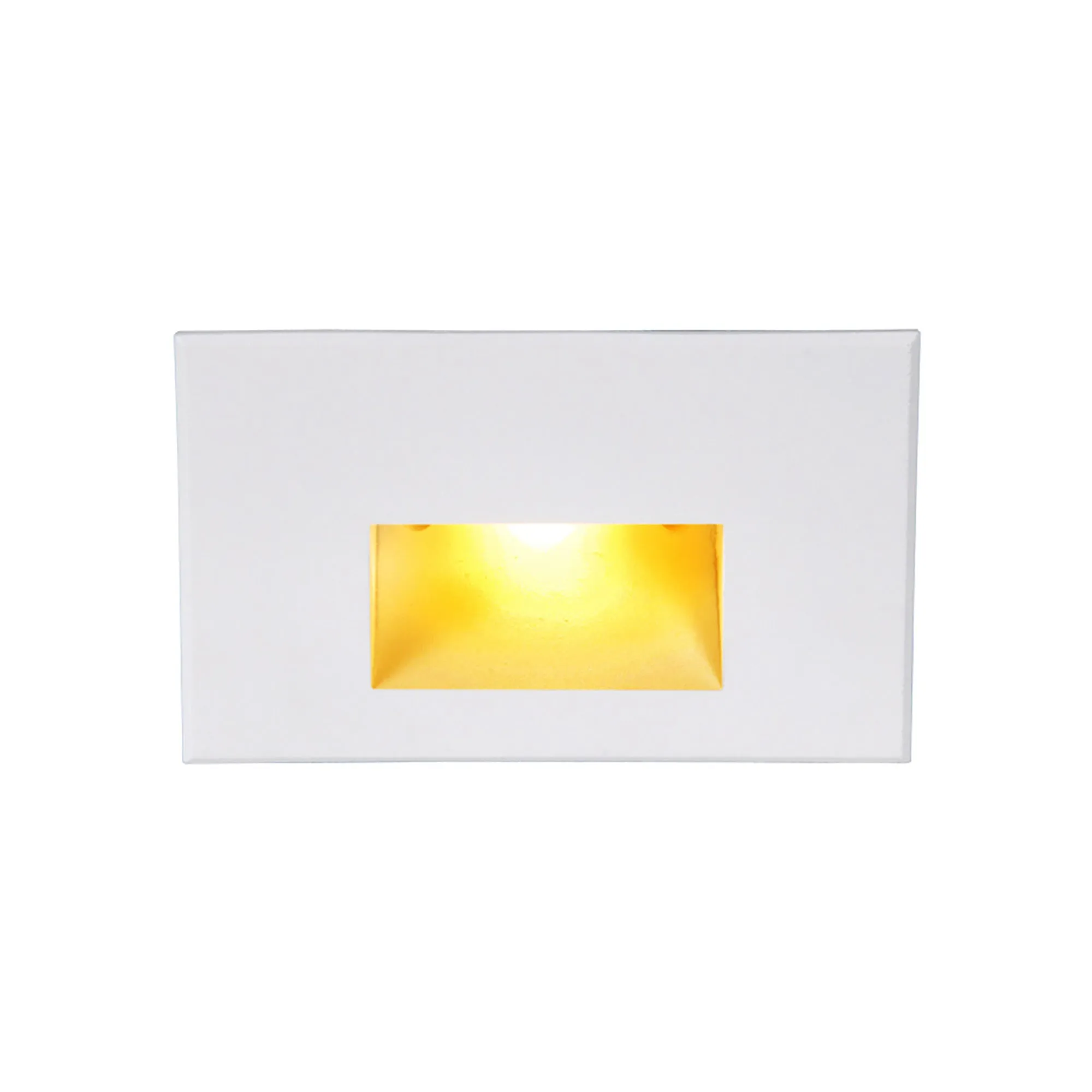 LEDme 120V LED Horizontal Indoor/Outdoor Step and Wall Light