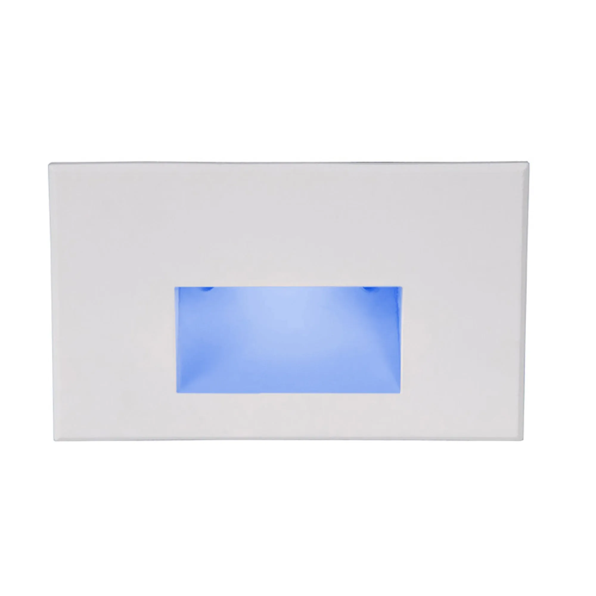 LEDme 120V LED Horizontal Indoor/Outdoor Step and Wall Light