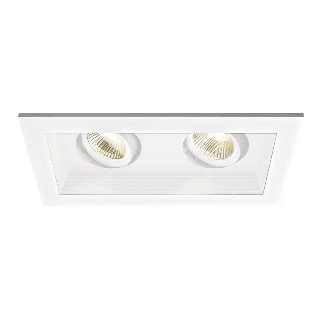 Mini Multiple Spots Two Light Recessed Trim and Housing