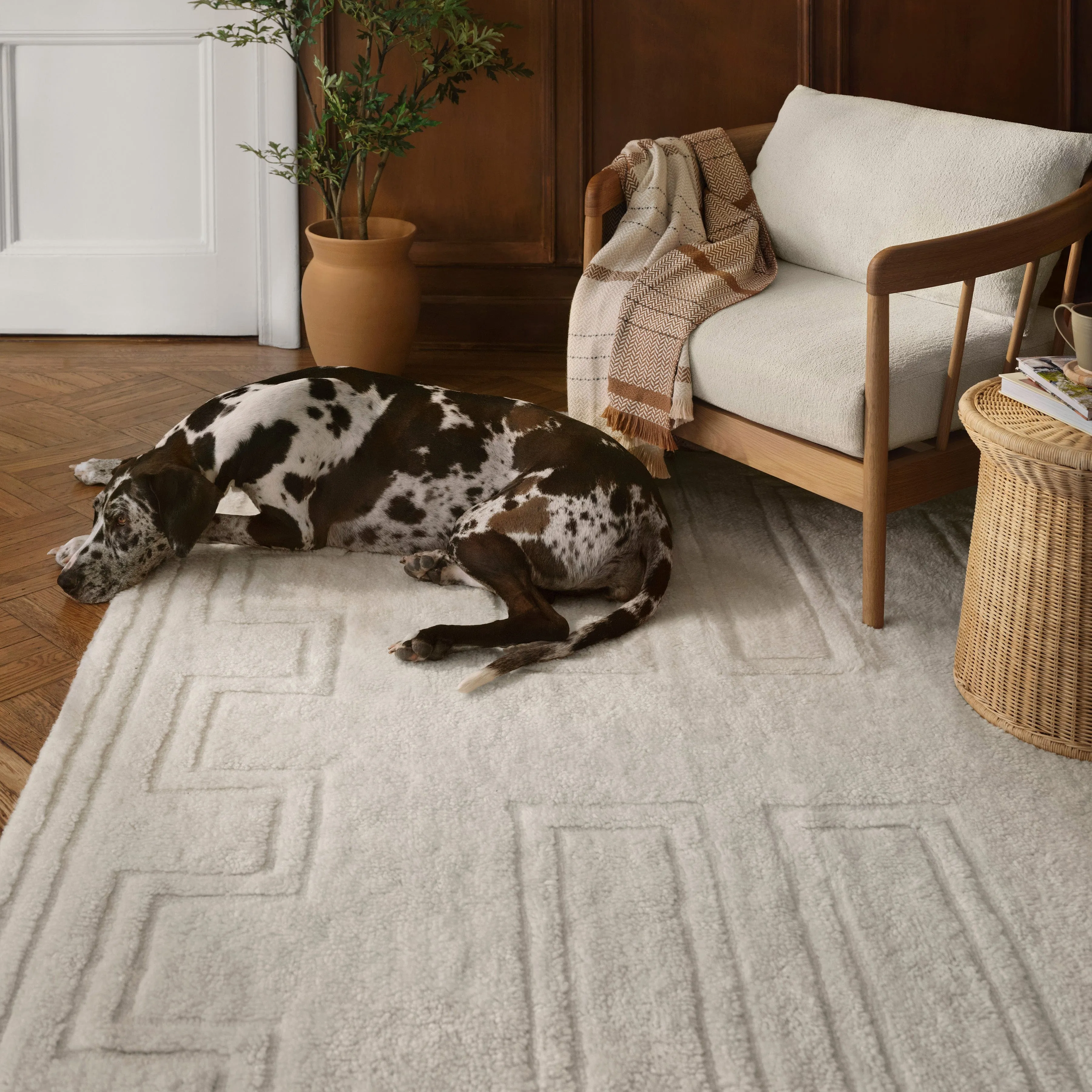 Padma Washable Rug The Citizenry