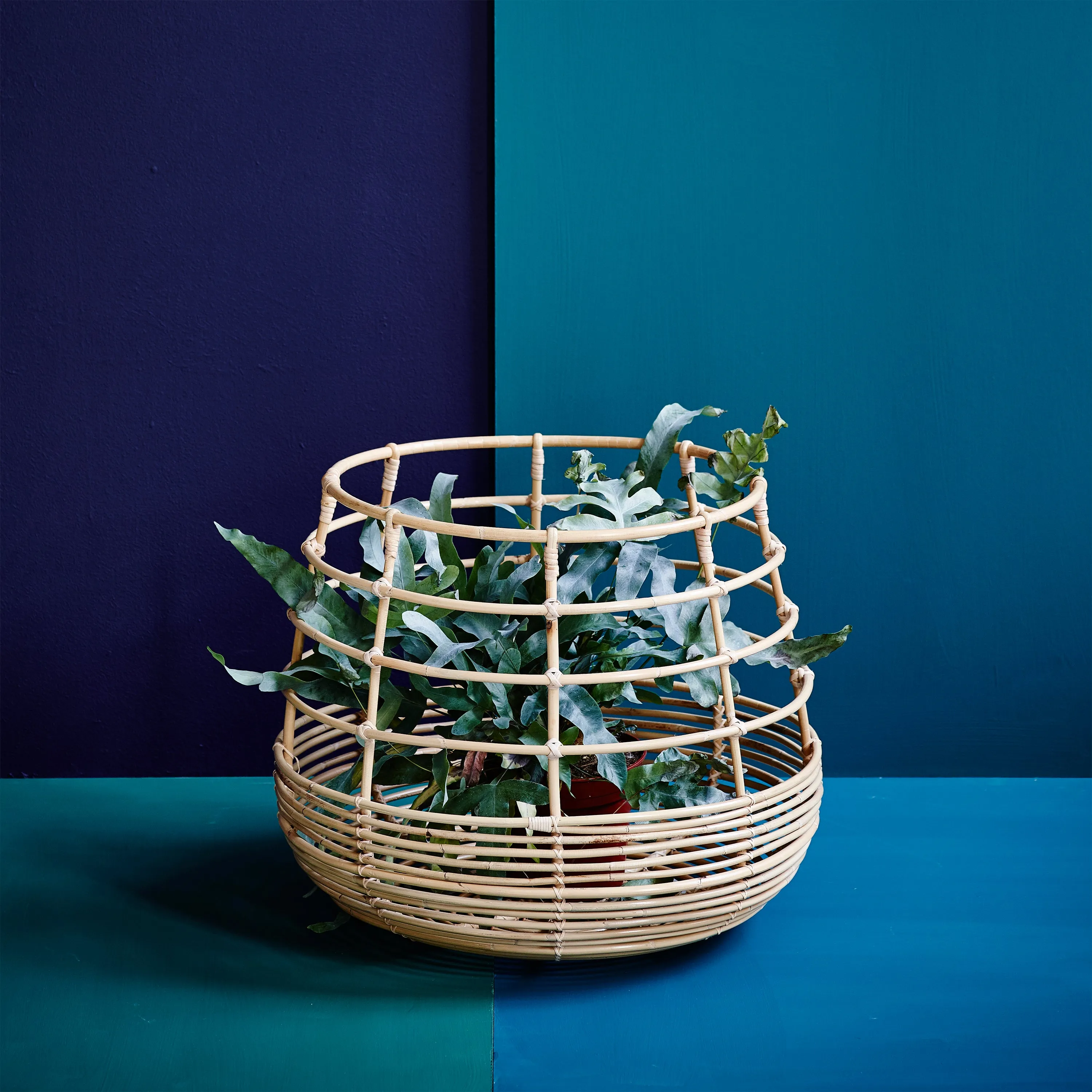 Sweep Indoor Basket