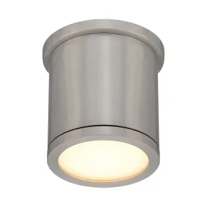 Tube Indoor/Outdoor Flush Mount