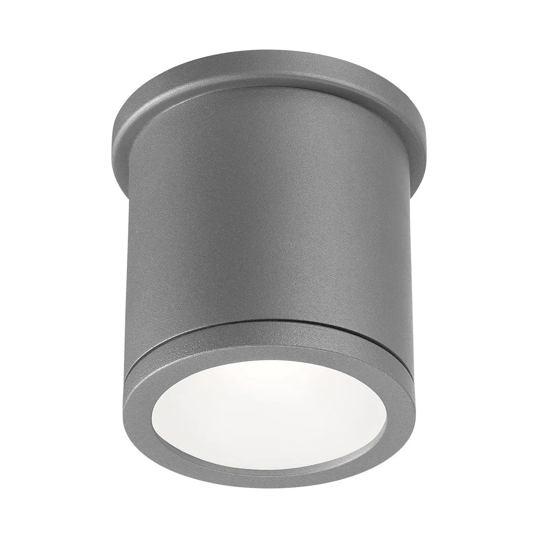 Tube Indoor/Outdoor Flush Mount