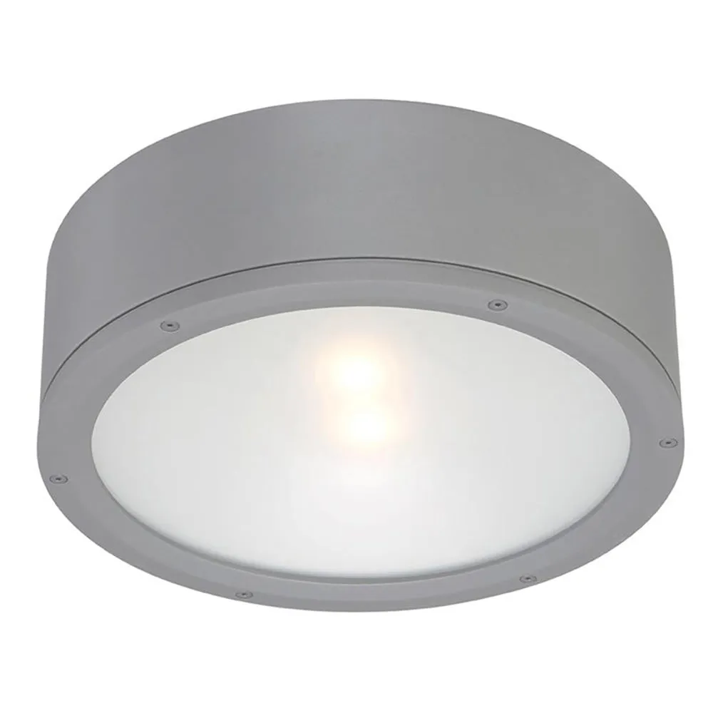 Tube Indoor/Outdoor Flush Mount