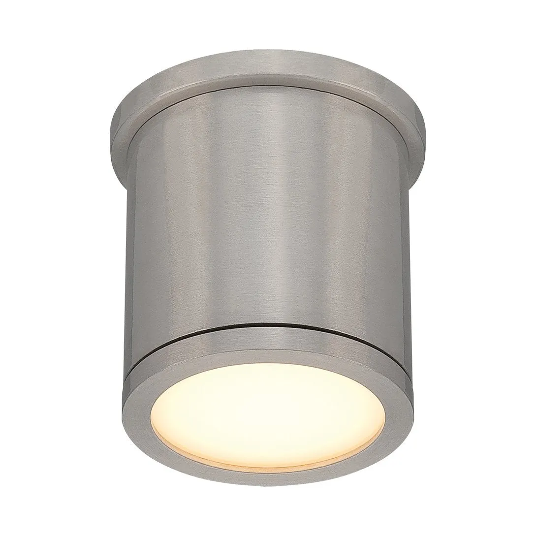 Tube Indoor/Outdoor Flush Mount