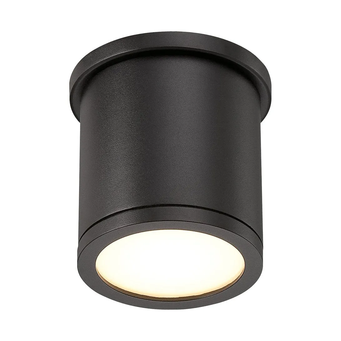 Tube Indoor/Outdoor Flush Mount