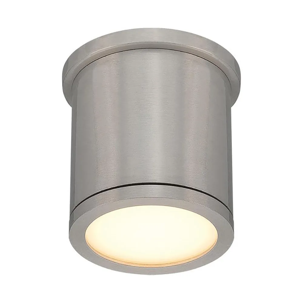 Tube Indoor/Outdoor Flush Mount