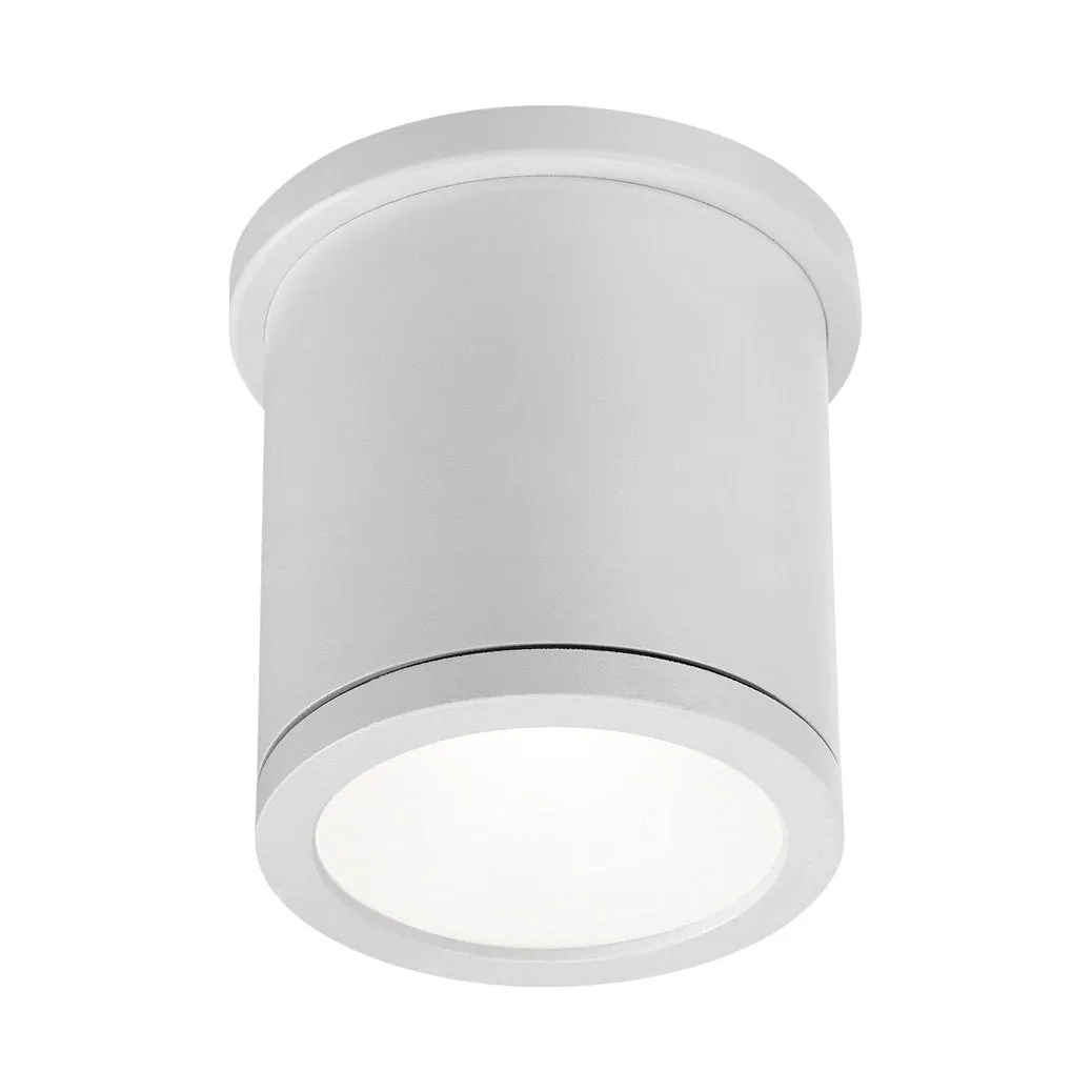 Tube Indoor/Outdoor Flush Mount