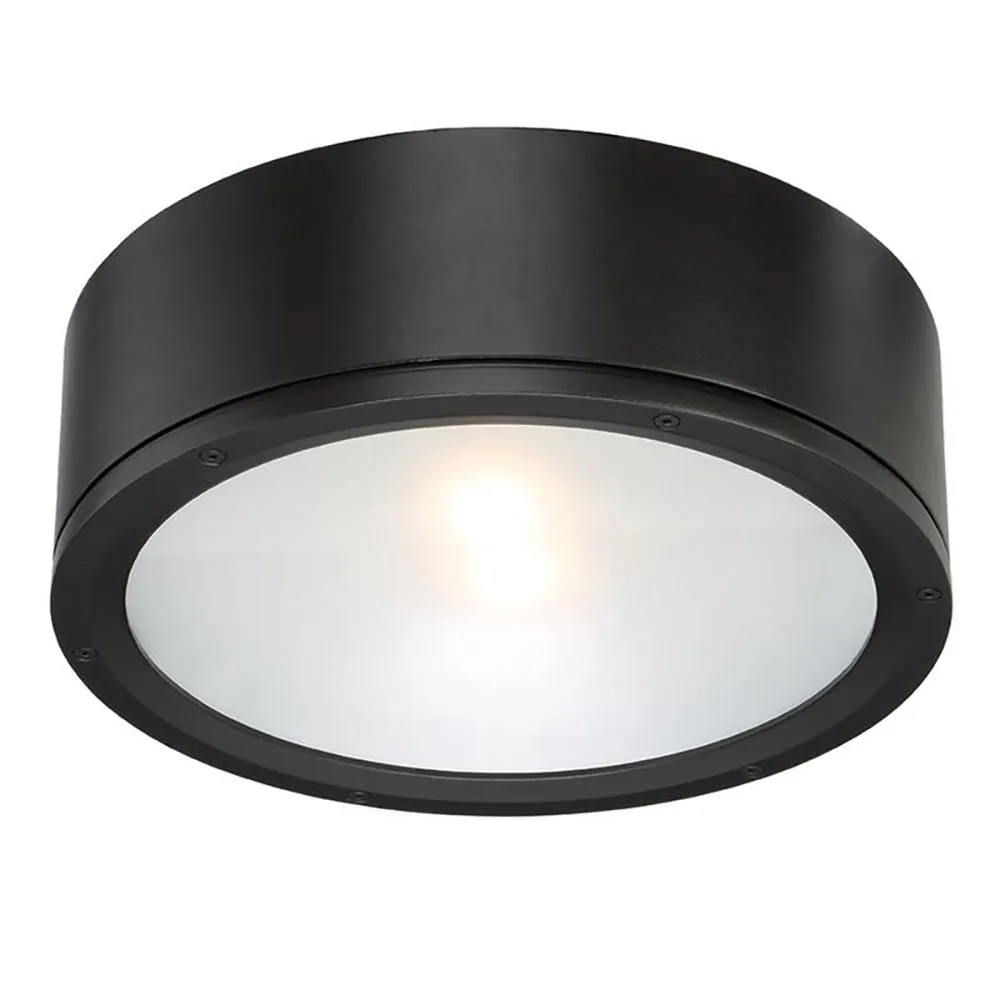 Tube Indoor/Outdoor Flush Mount