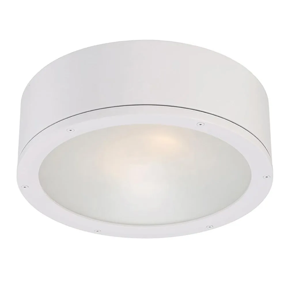 Tube Indoor/Outdoor Flush Mount