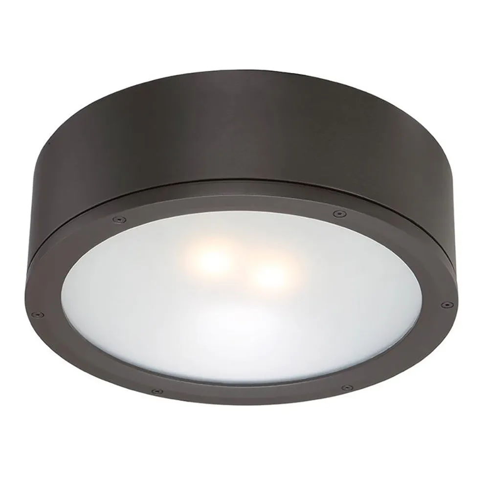 Tube Indoor/Outdoor Flush Mount